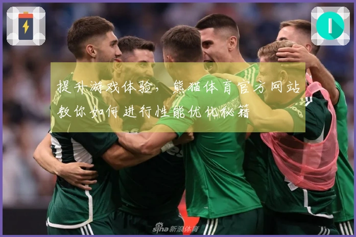 提升游戏体验，熊猫体育官方网站教你如何进行性能优化秘籍
