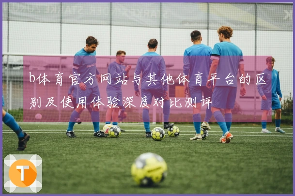 b体育官方网站与其他体育平台的区别及使用体验深度对比测评