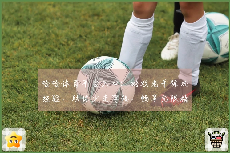 哈哈体育平台入口：游戏老手踩坑经验，助你少走弯路，畅享无限精彩！