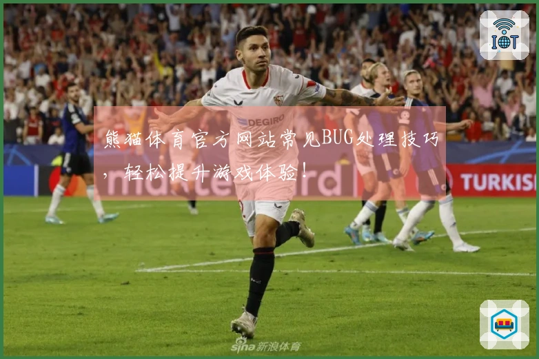 熊猫体育官方网站常见BUG处理技巧，轻松提升游戏体验！