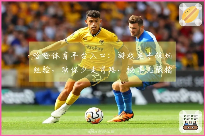 哈哈体育平台入口：游戏老手踩坑经验，助你少走弯路，畅享无限精彩！