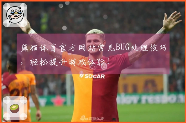 熊猫体育官方网站常见BUG处理技巧，轻松提升游戏体验！