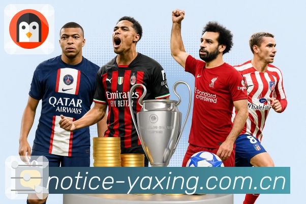 亚星官网APP 封面图